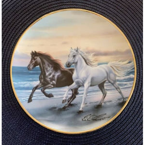 The Franklin Mint  “Thunder at Sunset” by Kirk Heinart Collectors Plate #HA3510